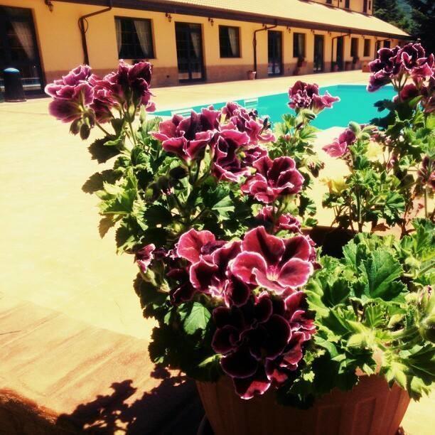 Del Riccio Hotel Martirano Esterno foto